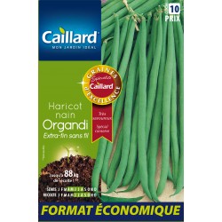 Graines Haricot Nain...