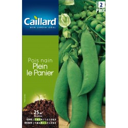 Graines Pois Nain Plein Le...