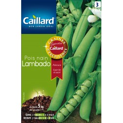 Graines Pois Nain Lambado...