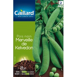 Graines Pois Nain Merveille...