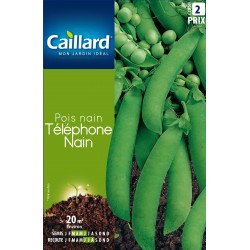 Graines Pois Nain Telephone...