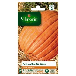 VILMORIN POTIRON Atlantic...