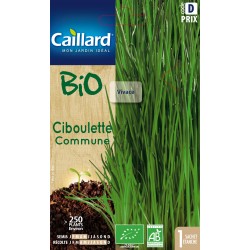 Graines Ciboulette Ab...