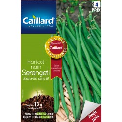Graines Haricot Nain...