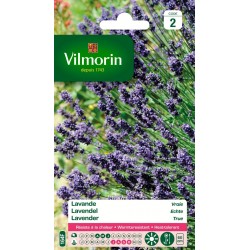 VILMORIN LAVANDE Vraie...