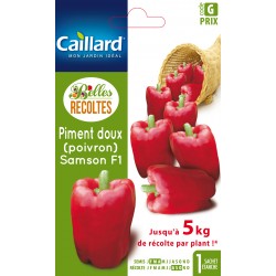 Graines Piment Doux Samson...