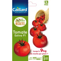 Graines Tomate Estiva F1...