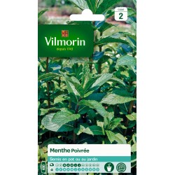 MENTHE Poivrée SACHET...