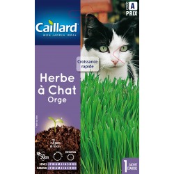 Graines Herbe À Chat -CAILLARD