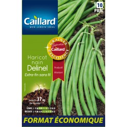 Graines Haricot Nain...