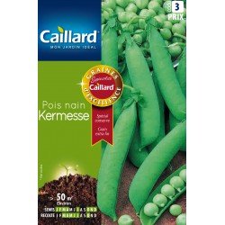 Graines Pois Nain Kermesse...