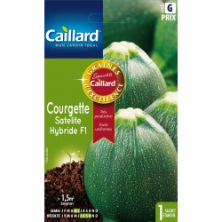 Graines Courgette Satelite...