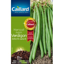 Graines Haricot Nain...