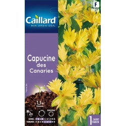 Graines Capucine Des...