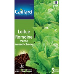 Graines Laitue Romaine...