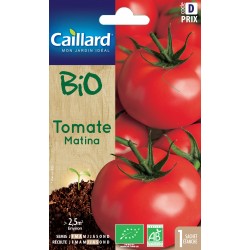 Graines Tomate Matina Ab...