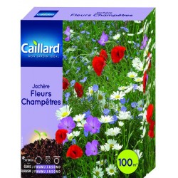 Graines Jachère Fleurs...