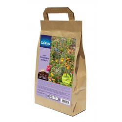 Graines Jachère Campagne En...