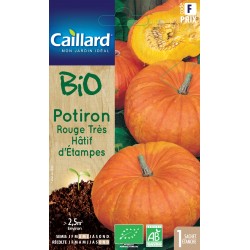 Graines Potiron Rouge Tres...