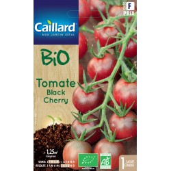 Graines Tomate Black Cherry...