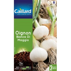 Graines Oignon Bianca Di...