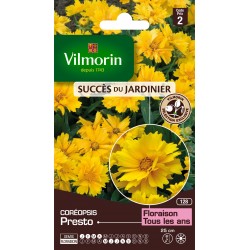COREOPSIS Presto SACHET...