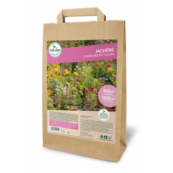 Graines Jachere Campagne En...