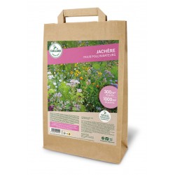 Graines Jachere Pour...