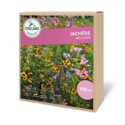 Graines Jachere Méllifère...
