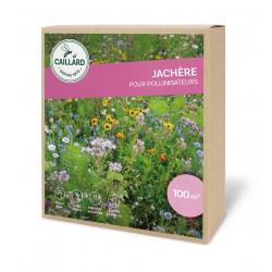 Graines Jachere Pour...