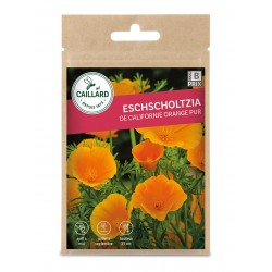 Graines Eschscholtzia De...