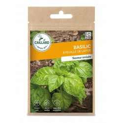 Graines Basilic A Feuille...