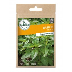 Graines Basilic Citron...