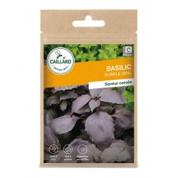 Graines Basilic Purple Opal...