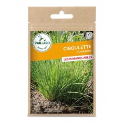 Graines Ciboulette -CAILLARD