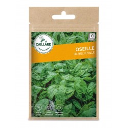 Graines Oseille De...