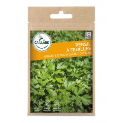 Graines Persil Geant...
