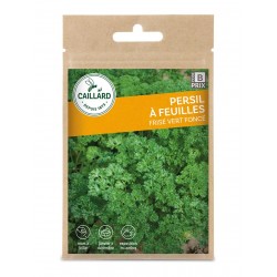 Graines Persil Frise Vert...