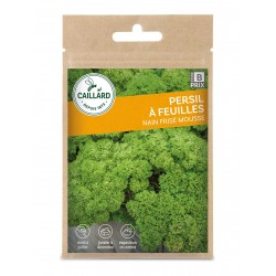 Graines Persil Nain Frise...