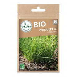 Graines Ciboulette Ab...