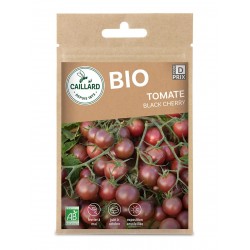 Graines Tomate Black Cherry...