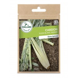 Graines Cardon Plein Blanc...