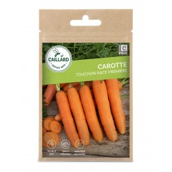 Graines Carotte Touchon...