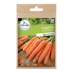 Graines Carotte Champion F1...