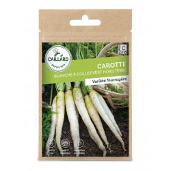 Graines Carotte Blanche A...