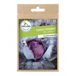 Graines Chou Rouge Red...