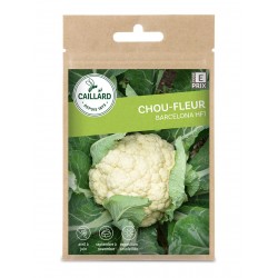 Graines Chou-Fleur...