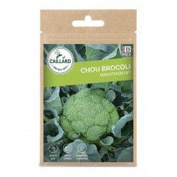 Graines Chou Brocoli...