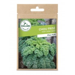 Graines Chou Frise Vert...