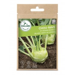 Graines Chou-Rave Blanc...
